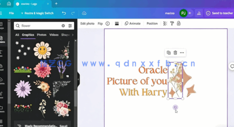 Canva社交媒体平面设计与视频编辑视频教程(图4)