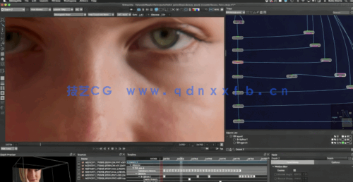  Silhouette镜头处理后期制作大师级视频教(图1)