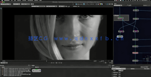  Silhouette镜头处理后期制作大师级视频教(图2)