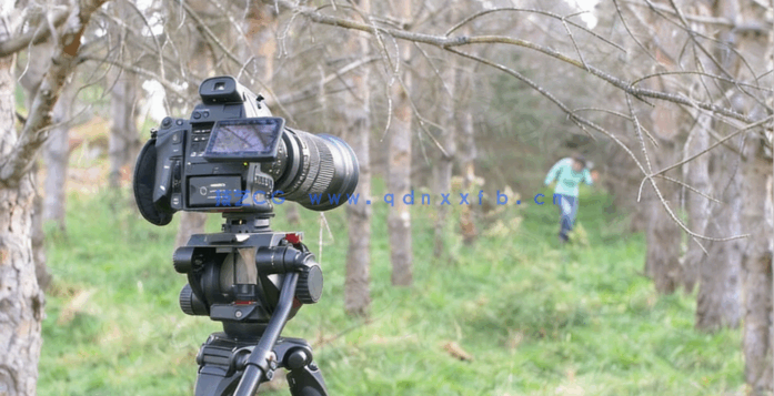 视频制作中的电影式构图技术视频教程(图4)