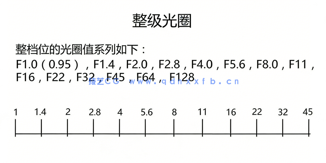 从零开始学摄影视频中文教程(图4)