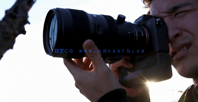 摄影技术大师班完全指南训练视频教程(图3)