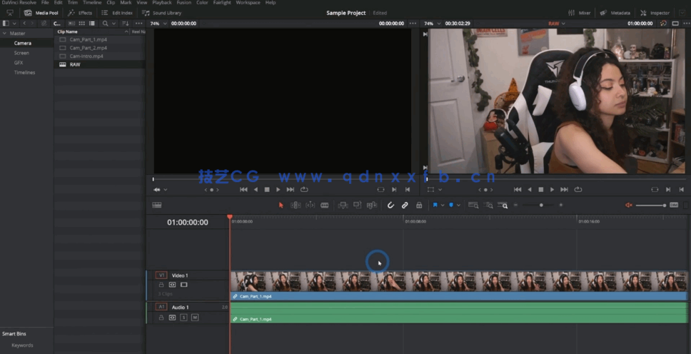 [DaVinci Resolve] Davinci Resolution专业视频编辑工作流程视频教程(图6)