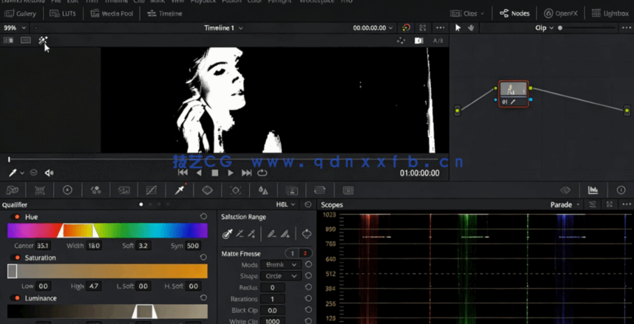 [DaVinci Resolve] DaVinci Resolve 16达芬奇色彩分级速成训练视频教程(图3)