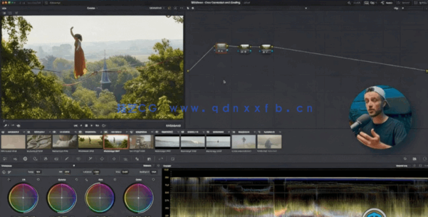 [DaVinci Resolve] 【中文字幕】DaVinci Resolve 17色彩校正与调色技术训练(图3)