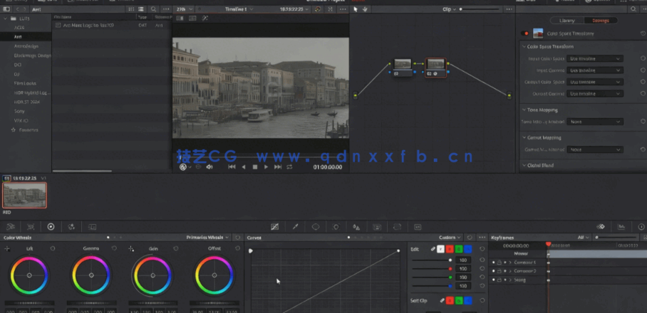 [DaVinci Resolve] DaVinci Resolve色彩管理工作流程大师班视频教程(图2)