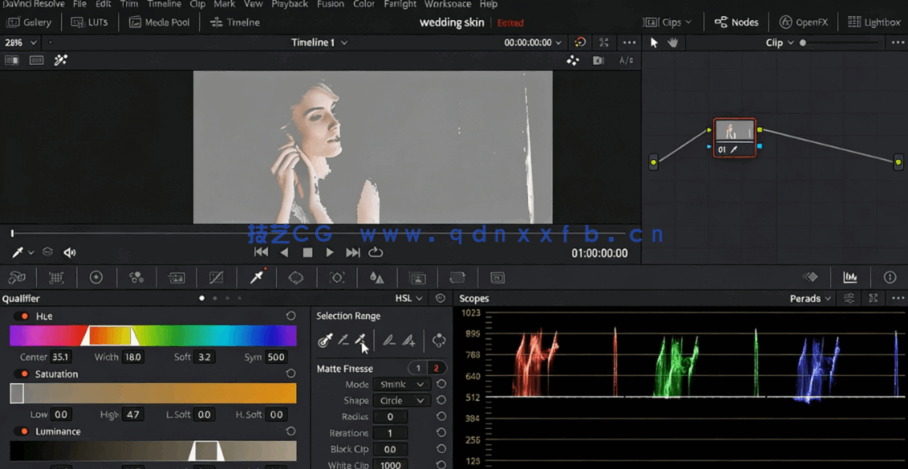[DaVinci Resolve] DaVinci Resolve16初学者终极色彩分级速成视频教程(图2)