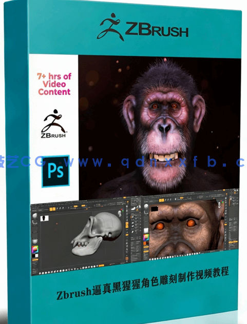 Zbrush逼真黑猩猩角色雕刻制作全流程视频教程(图1)