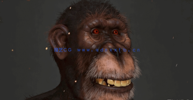 Zbrush逼真黑猩猩角色雕刻制作全流程视频教程(图5)
