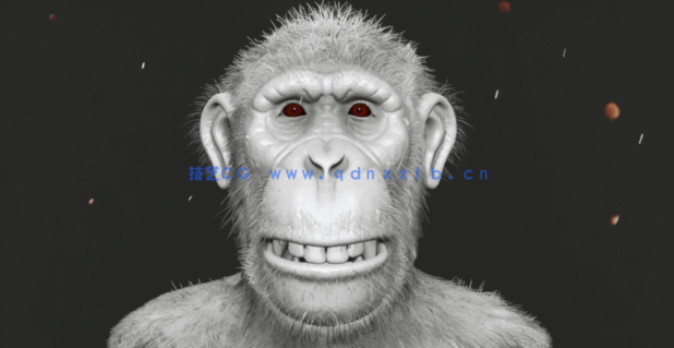 Zbrush逼真黑猩猩角色雕刻制作全流程视频教程(图4)