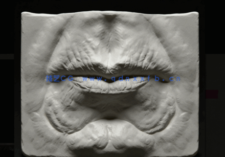 Zbrush面部五官特征雕刻技术训练视频教程(图2)