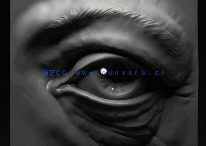 Zbrush面部五官特征雕刻技术训练视频教程(图3)