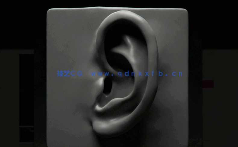 Zbrush面部五官特征雕刻技术训练视频教程(图4)