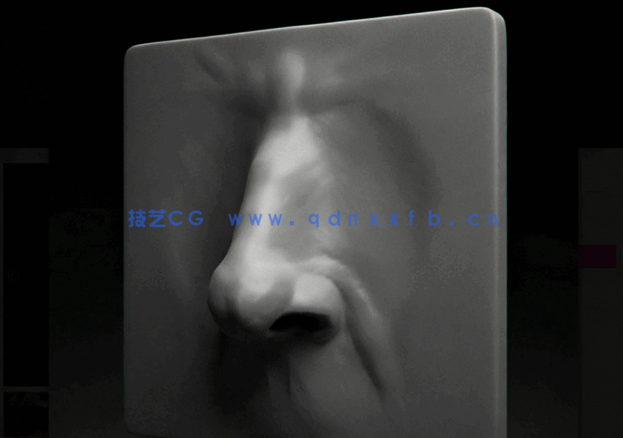 Zbrush面部五官特征雕刻技术训练视频教程(图5)