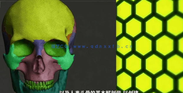 Zbrush脸部面部雕刻建模全面训练视频教程(图4)