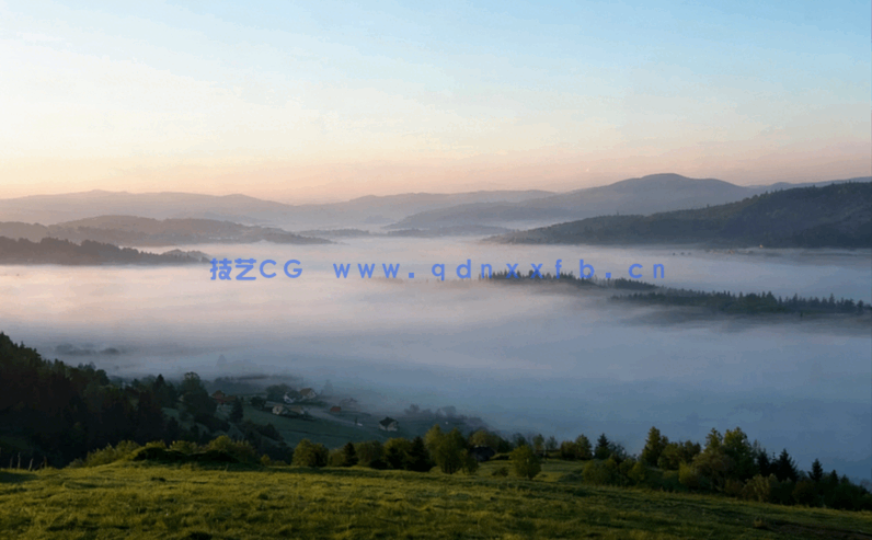 高清深林外景贴图丁达尔效应(图1)