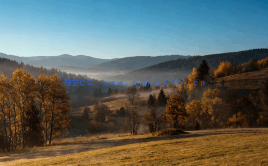 高清深林外景贴图丁达尔效应(图3)