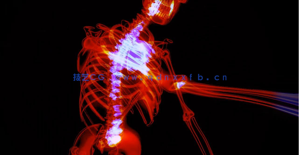 C4D+AE骨骼绑定教程 医学动画 Skeleton Rigging Composition(图1)