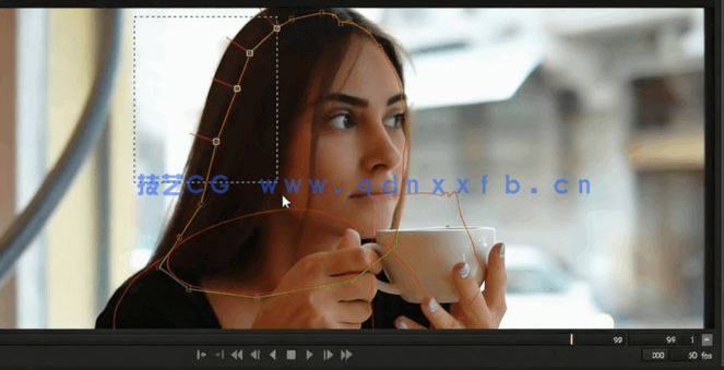 Boris FX Silhouette视觉特效核心技能训练视频教程(图3)