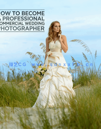 专业商业婚礼摄影师大师级培训视频教程 (图6)
