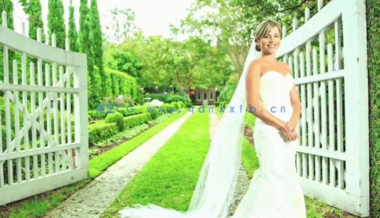 专业商业婚礼摄影师大师级培训视频教程 (图1)