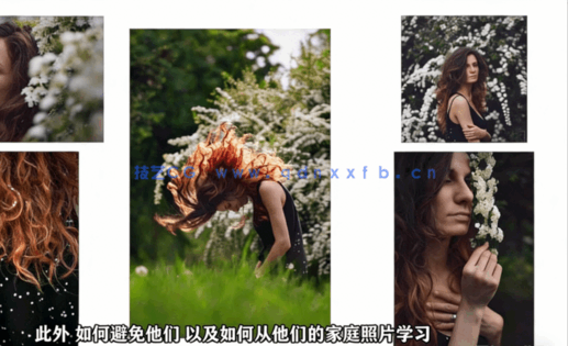 人像摄影从入门到精通技术训练视频教程(图3)