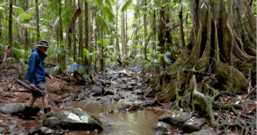 自然森林真菌蘑菇摄影技术大师班视频教程(图1)