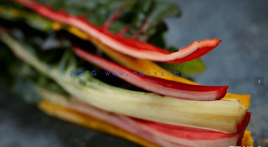 美食摄影与后期精修全攻略大师班视频教程(图2)