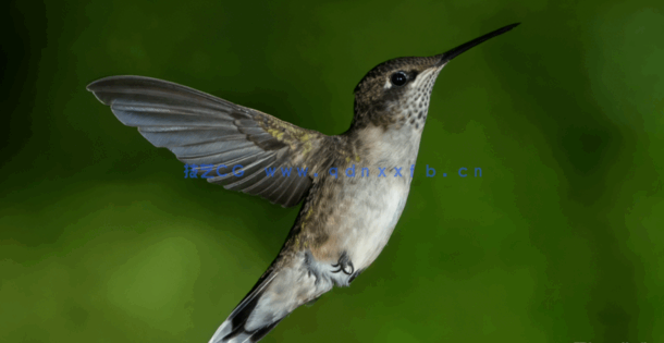 专业摄影人士完全自学大师班视频教程 (图3)