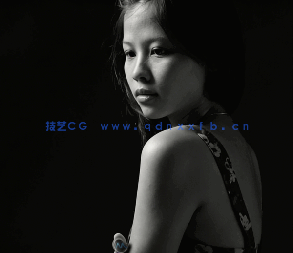 专业摄影人士完全自学大师班视频教程 (图2)