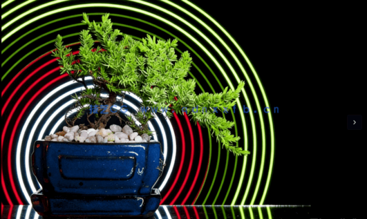 创意摄影教程（中文翻译）(图2)