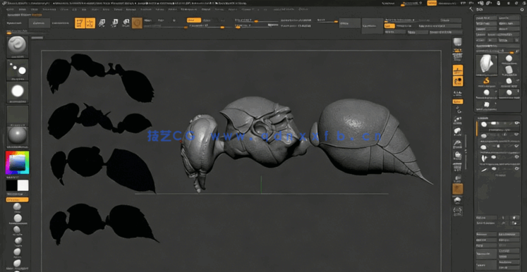 Zbrush超写实昆虫设计完整制作流程视频教程(图3)