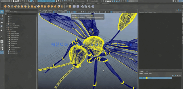 Zbrush超写实昆虫设计完整制作流程视频教程(图5)