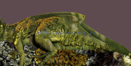 Zbrush逼真恐雕刻建模与贴图完整制作工作流程视频教程 (图2)