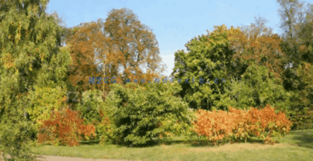 高清外景贴图(图3) 高清外景贴图(图3)