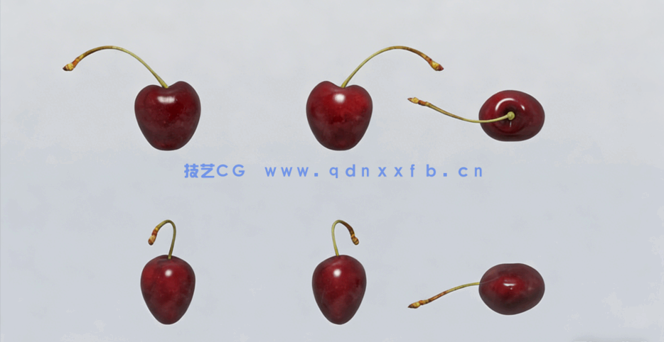 樱桃水果模型 Cherries Fruit model(图1) 樱桃水果模型 Cherries Fruit model(图1)