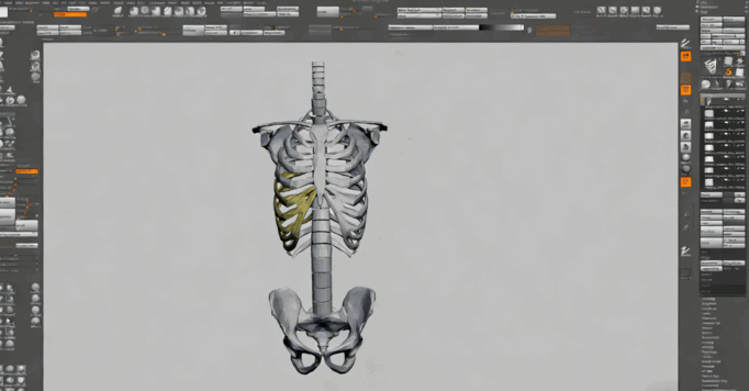  ZBrush机器人内骨骼详细实例视频教程(图2)