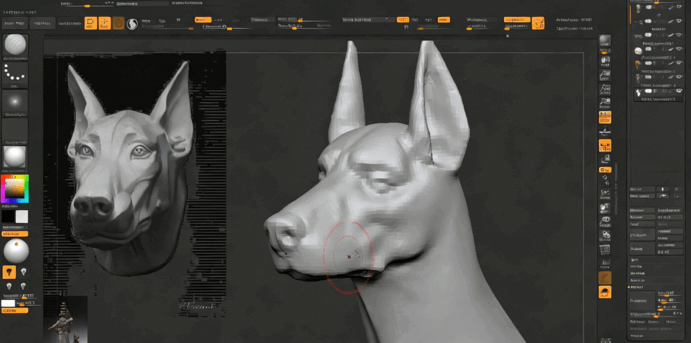  ZBrush战斗女孩与狗超完整制作流程视频教程 (图4)