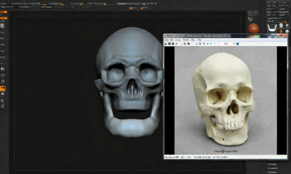  ZBrush逼真人类头骨雕刻建模实例制作视频教程 (图4)