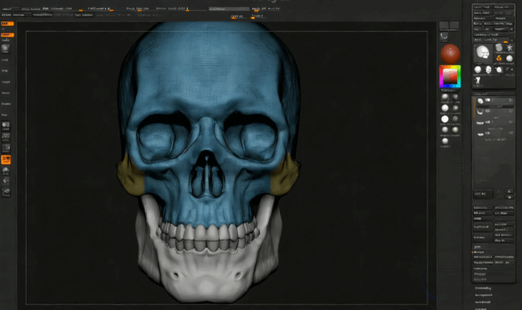  ZBrush逼真人类头骨雕刻建模实例制作视频教程 (图5)
