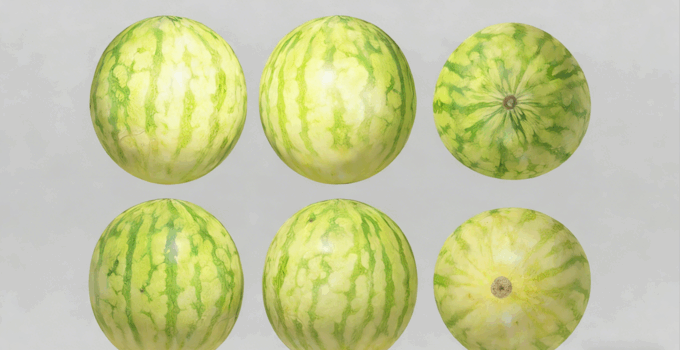 西瓜水果模型 Water Melon Fruit model (图1) 西瓜水果模型 Water Melon Fruit model (图1)