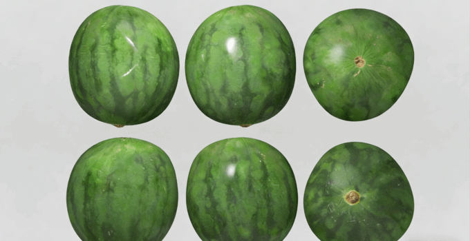 西瓜水果模型 Water Melon Fruit model (图2) 西瓜水果模型 Water Melon Fruit model (图2)