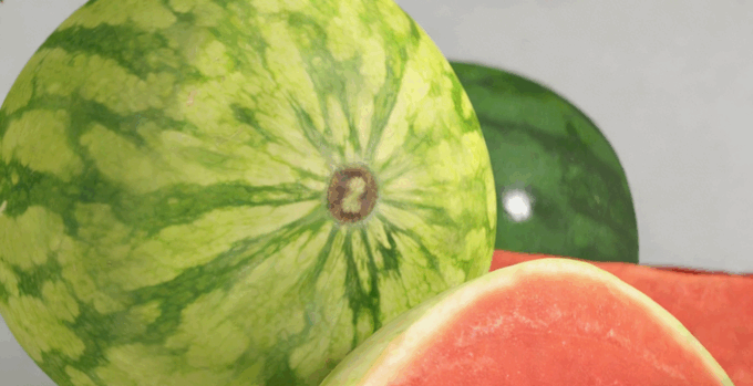 西瓜水果模型 Water Melon Fruit model (图3) 西瓜水果模型 Water Melon Fruit model (图3)