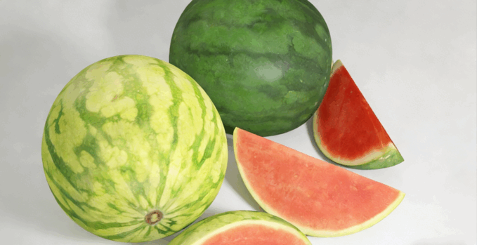 西瓜水果模型 Water Melon Fruit model (图5) 西瓜水果模型 Water Melon Fruit model (图5)