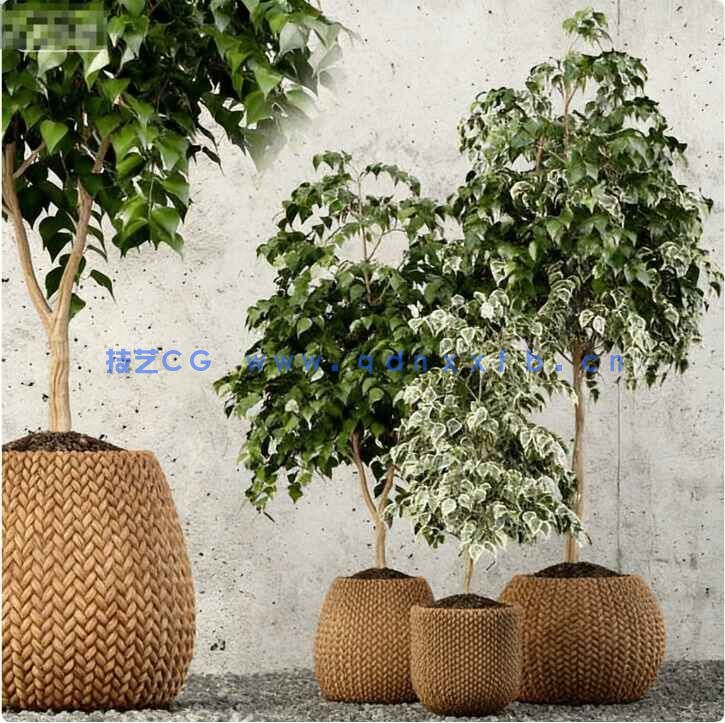 [家具模型] 精品家具装饰等3D模型合集2024年第八季(图5)