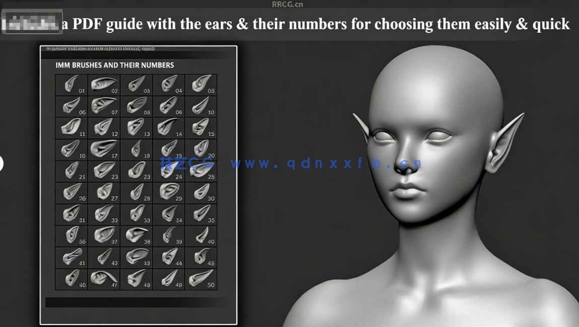 [独立角色] 50组人形生物耳朵Zbrush IMM笔刷与3D模型合集(图8)