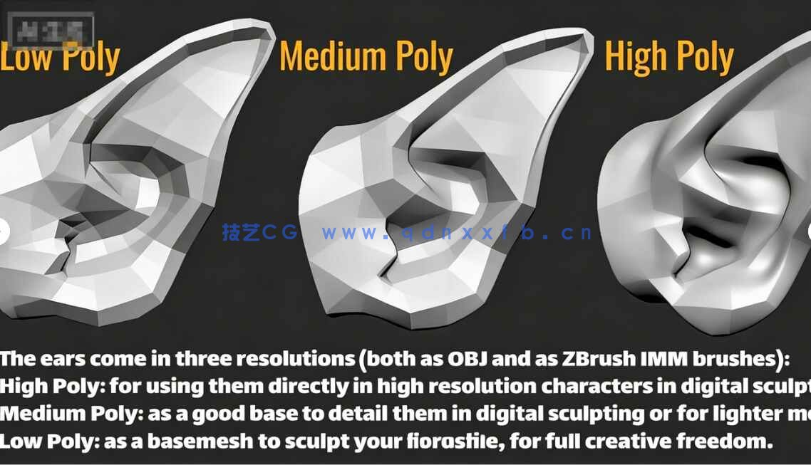 [独立角色] 50组人形生物耳朵Zbrush IMM笔刷与3D模型合集(图2)