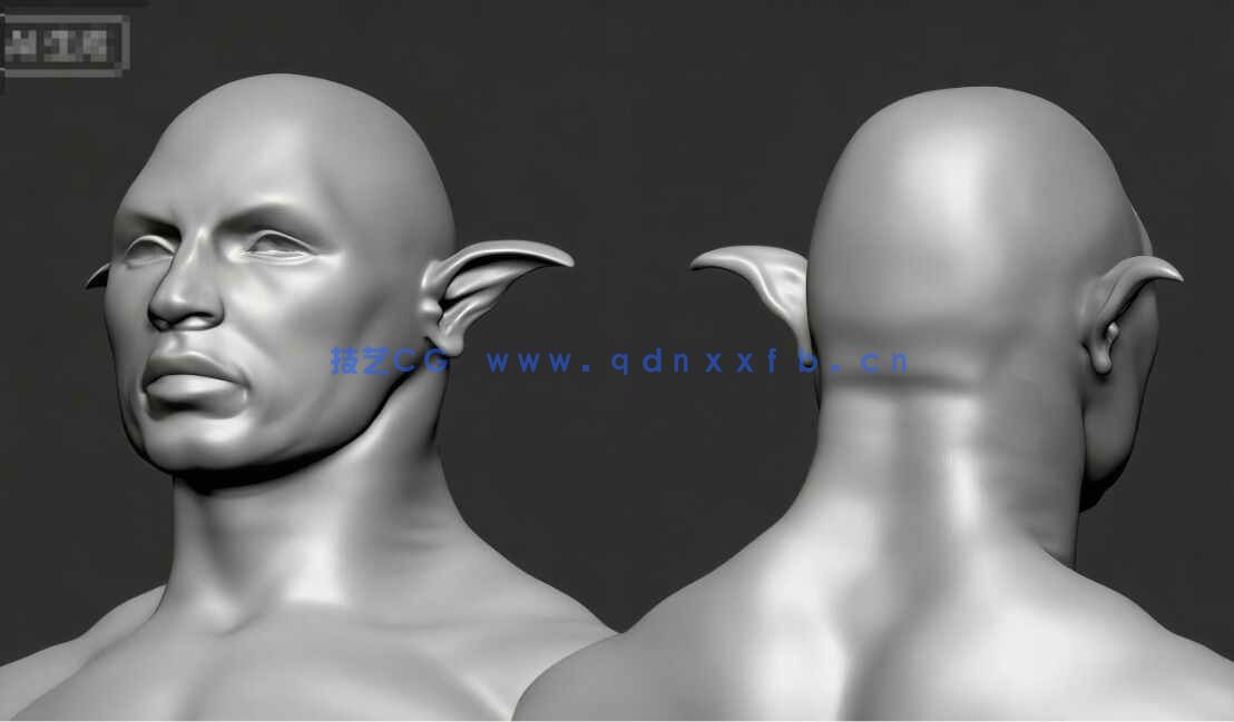 [独立角色] 50组人形生物耳朵Zbrush IMM笔刷与3D模型合集(图3)