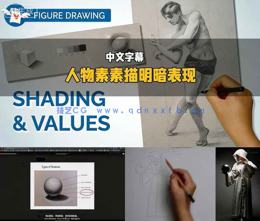 【中文字幕】人物素描明暗表现光影关系绘画训练视频教程(图1)