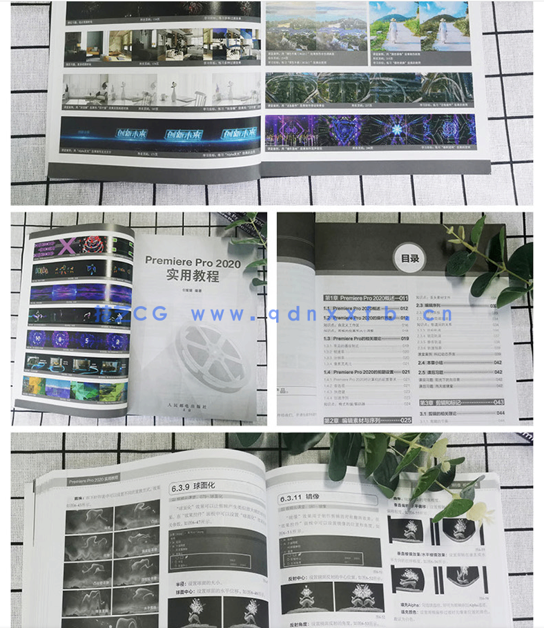 Premiere Pro 2020实用教程(图12)